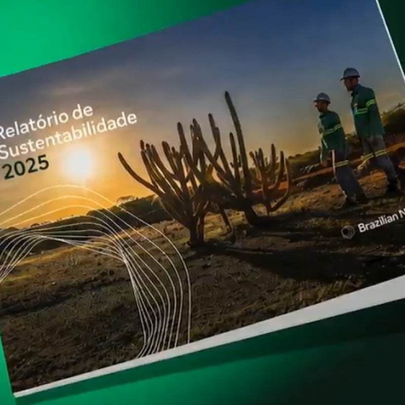 Brazilian Nickel avança em ações de sustentabilidade e relacionamento com comunidades no Piauí